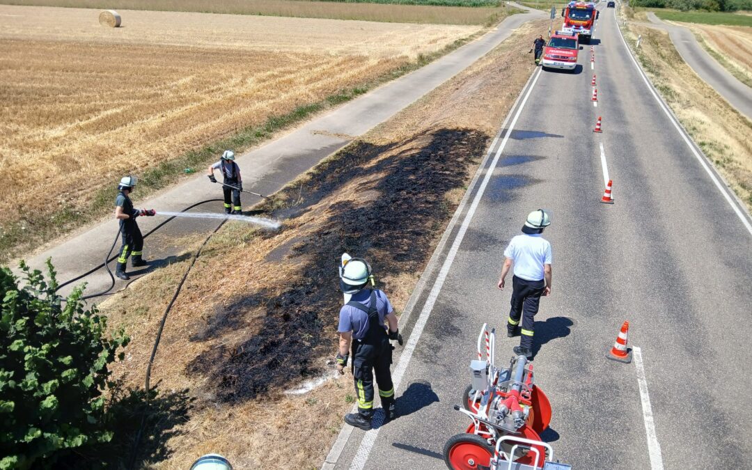 B 1 Brand 1 Vegetationsbrand mittel >10 m² bis 100m²