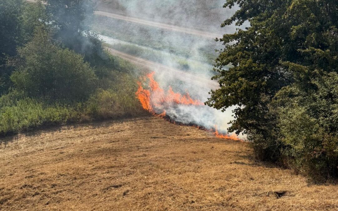 B 1 Brand 1 Nachschau erneute Brandnester