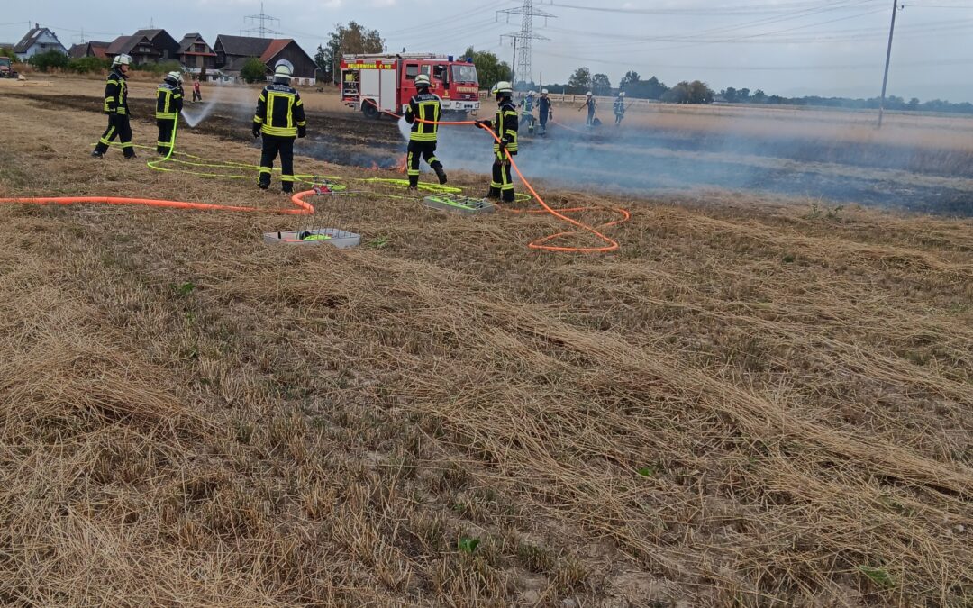 B 2. 1 Brand 2 Vgetationsbrand mittel 10-100 m²